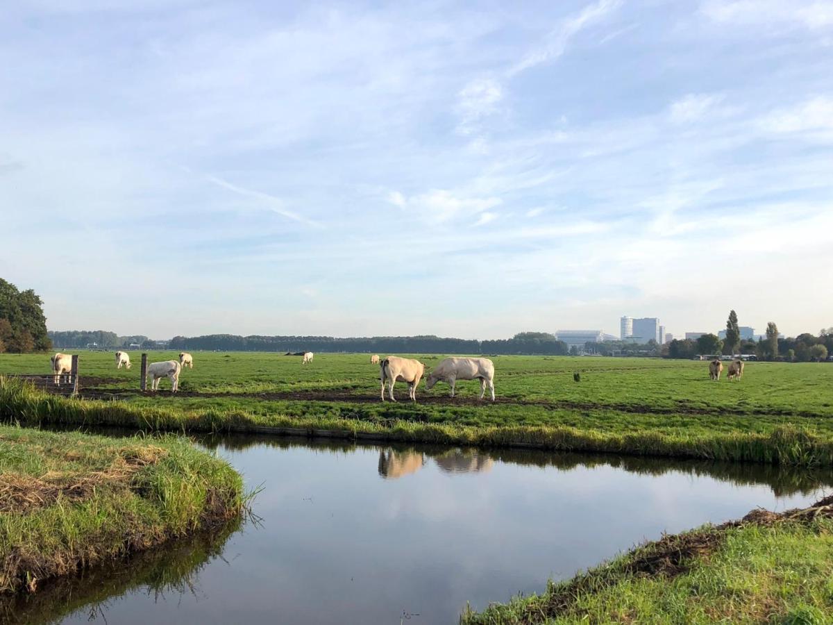 Villa Antonius Amsterdam เอาเดอแคร์กอันเดออัมสเตล ภายนอก รูปภาพ